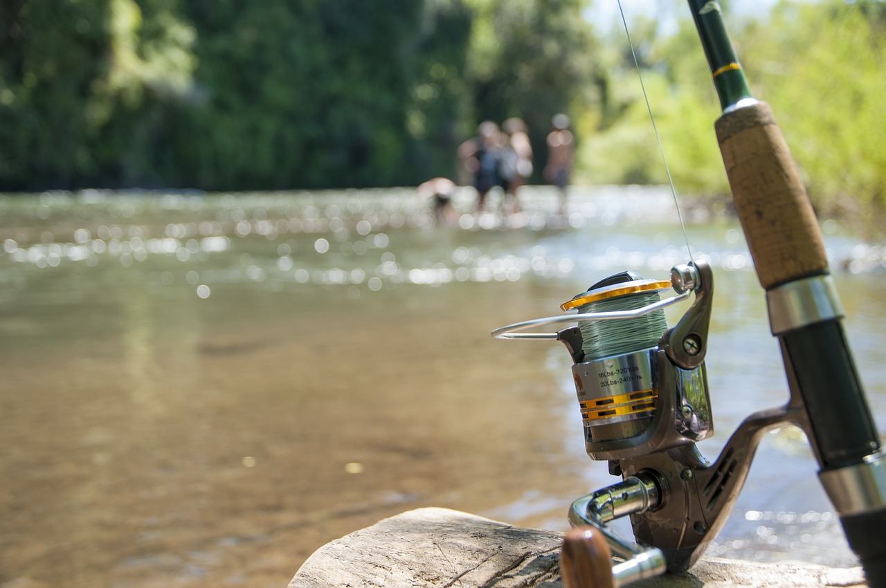 fishing, a fishing rod, cane