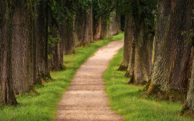 Visites estivales en Veyle