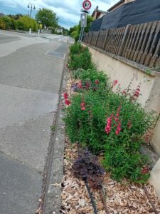 Photo des plantations du fleurissement 2024