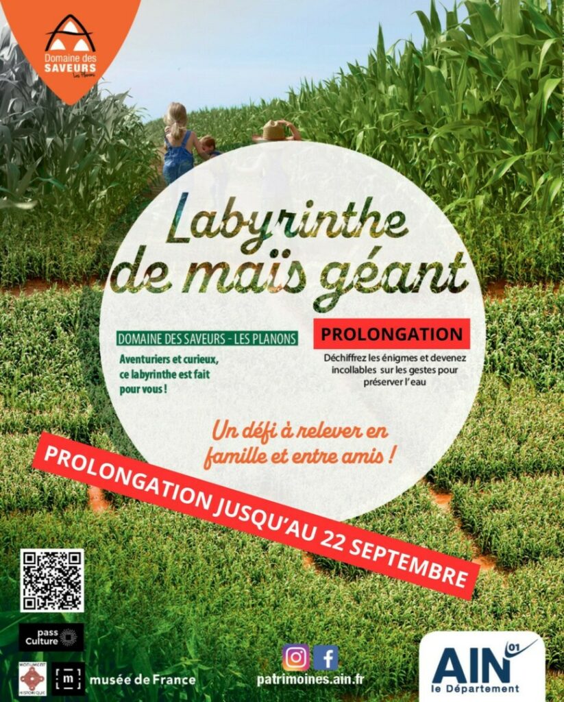 Flyer prolongation labyrinthe de maïs