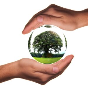 to protect, hands, ecology, protection, tree, life, responsibility, globe, earth, world, globalization, planet, global, environment, conservation, eco, fragile, sensitive, ecology, ecology, responsibility, earth, conservation, conservation, conservation, nature, conservation, conservation, eco, eco, eco