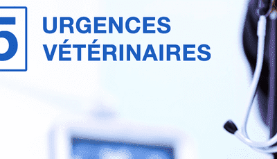 Pâques et les animaux