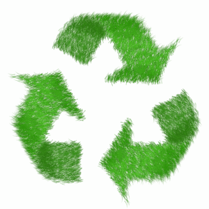 green, grass, lawn, echo, ecological, nature, savings, energy saving, blades of grass, recycling, recycle icon, recycle, recycling, recycling, recycle, recycle, recycle, recycle, recycle