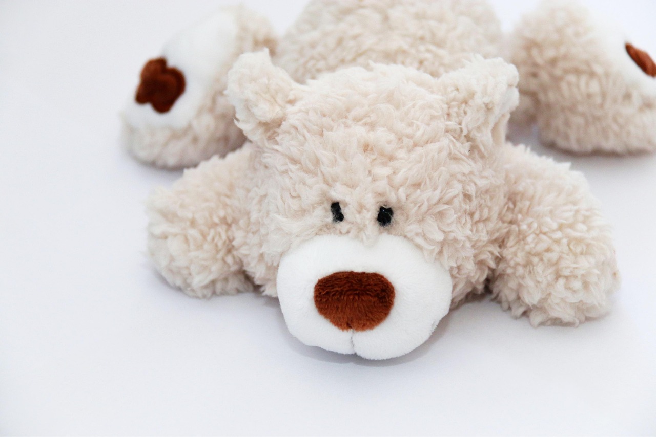 teddy, cuddly toy, stuffed animal, white, brown, cuddle, toy, children, cute, stuffed animal, toy, toy, toy, toy, toy