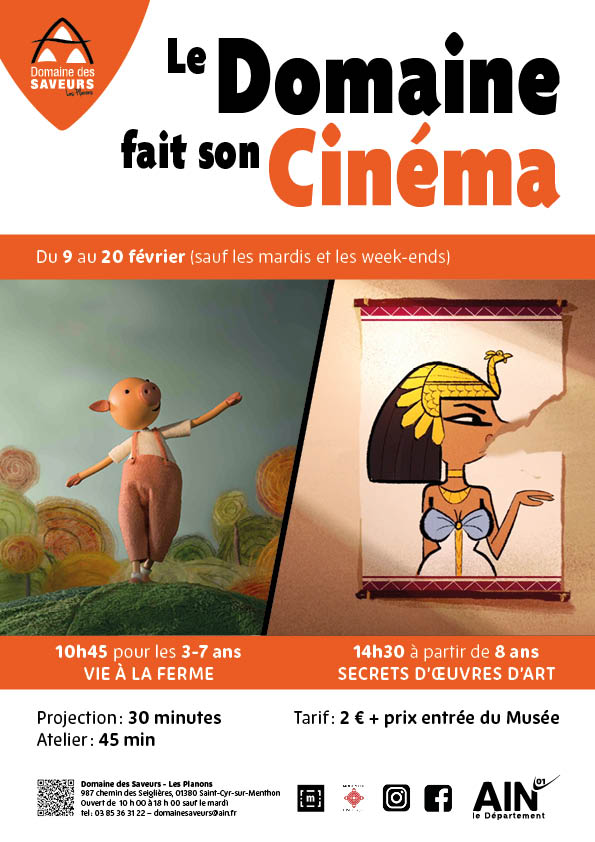 Affiche cinéma aux Planons