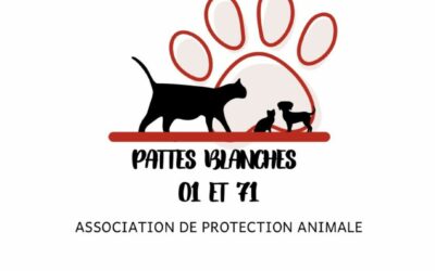 Association Pattes Blanches 01 et 71